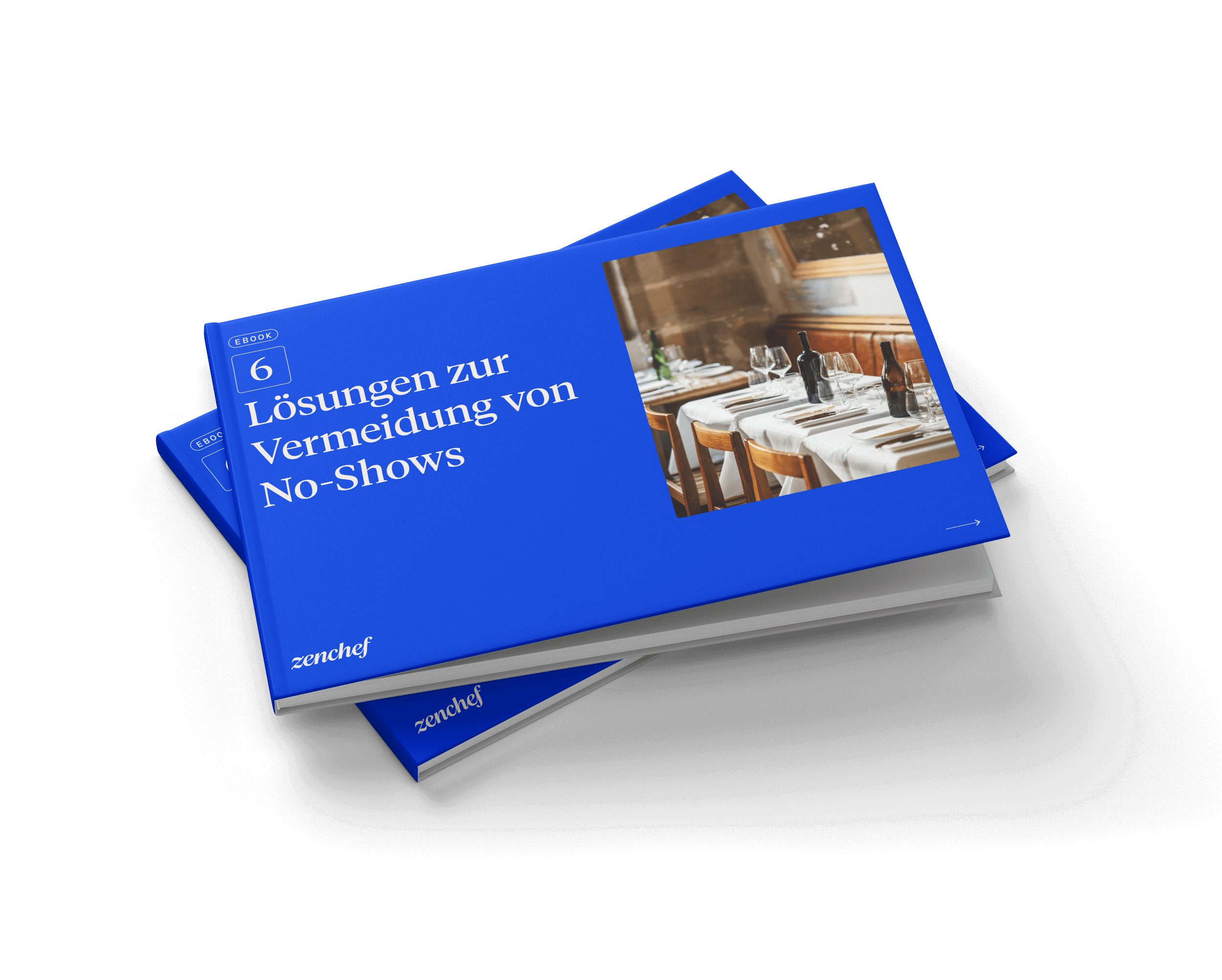 No show ebook